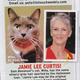Illustration for article titled This Week In Tabloids: Ben May Have Knocked That Nanny Up
